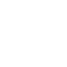 Lulu It Park - White.png