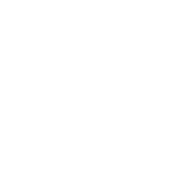 PPC - White.png